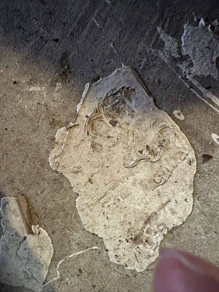 Old coating lifting off a concrete floor